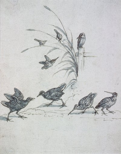 Kingfishers, Curlew and other Birds by Francis Barlow